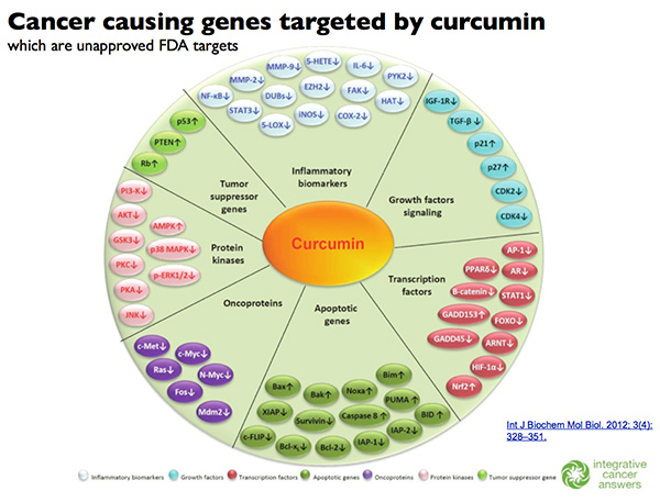 cancer causing genes targeted by curcumin